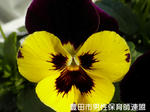 PC130502.jpg