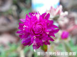 PC140509.jpg