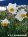 PC140508.jpg