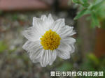 P4180104.jpg