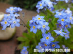 P4180107.jpg
