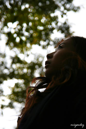20102606c.jpg
