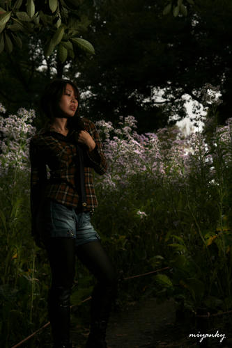 20102613y-2.jpg