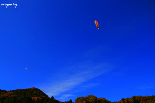 20112301.jpg