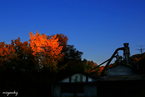 20112303.jpg