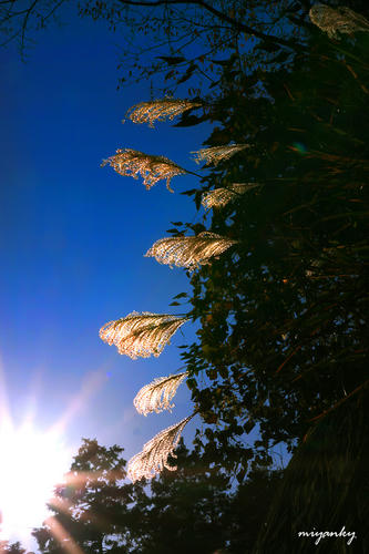 20112307.jpg