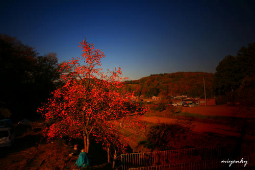 20112309.jpg