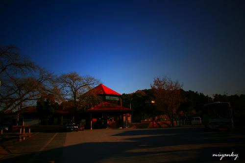 20112310.jpg
