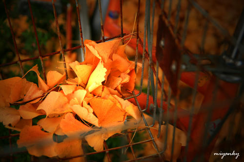 20112311.jpg