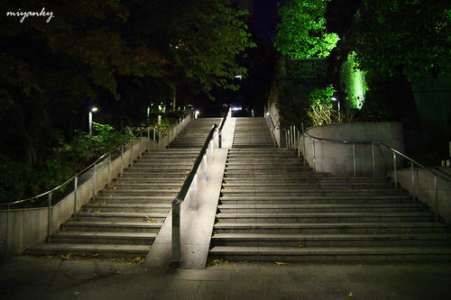 20112903.jpg