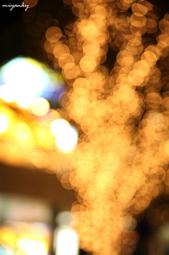 20112904.jpg