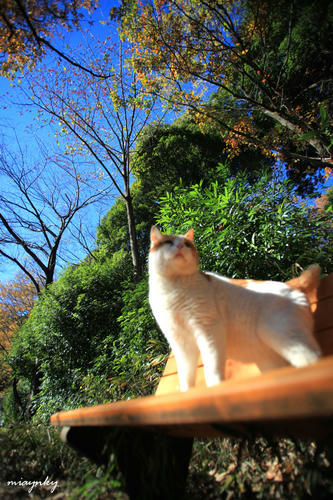 20120704.jpg