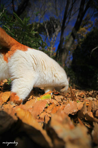 20120708.jpg