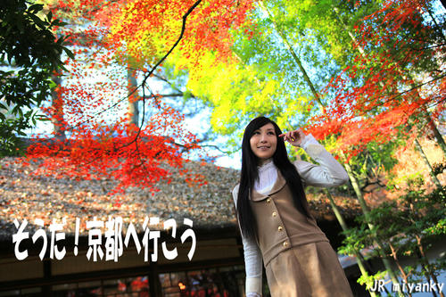 20122104.jpg