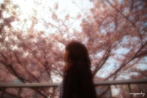 21040504.jpg