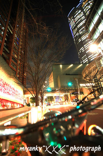 2009032404.jpg
