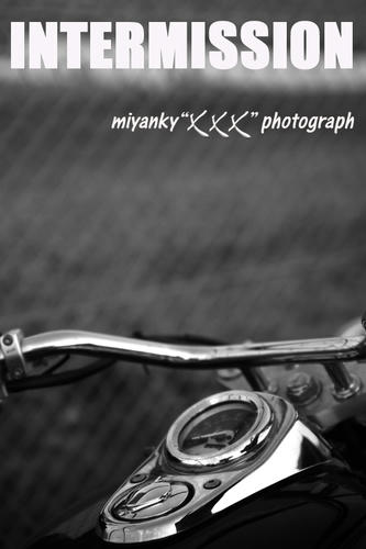 2009032905.jpg