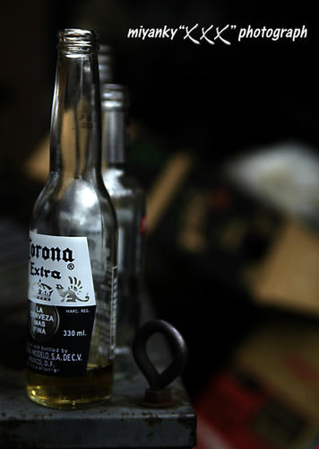 2009082306.jpg