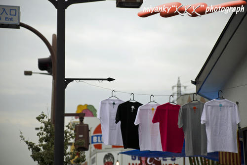 2009082312.jpg