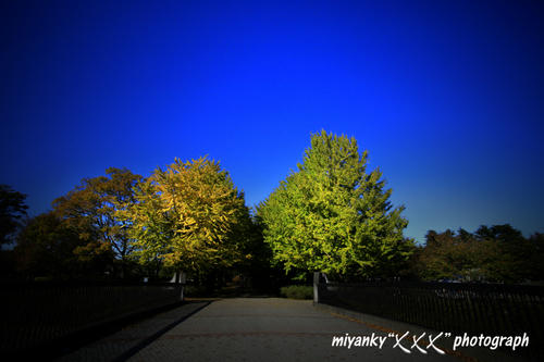 2009110305.jpg
