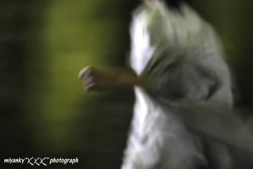 2010030207.jpg