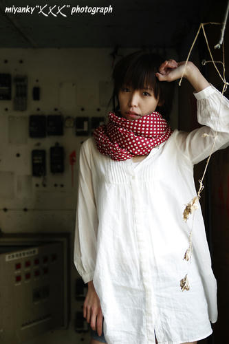2010030217.jpg