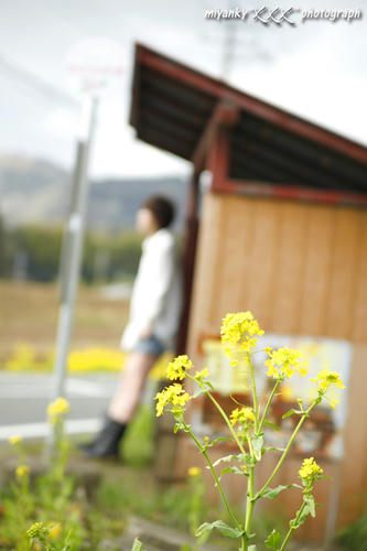 2010030221.jpg