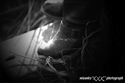 2010030231.jpg