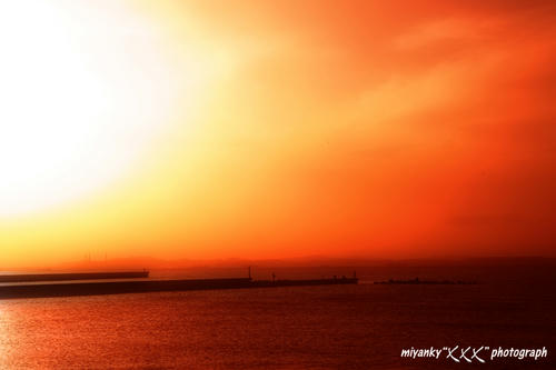 2010030243.jpg