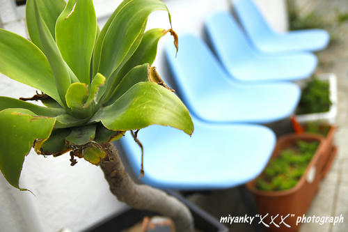 2010050417.jpg