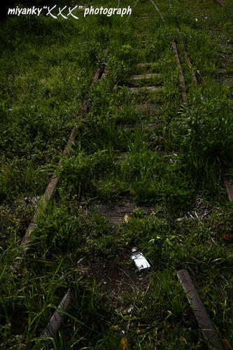 2010050425.jpg