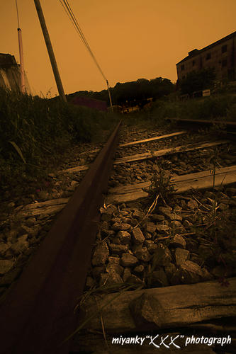 2010050432.jpg
