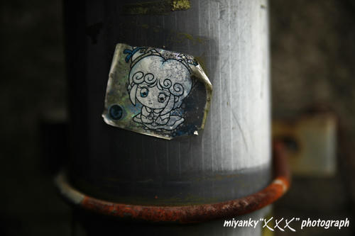 2010053016.jpg