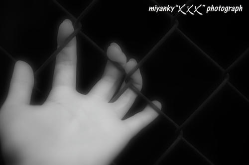 2010053025.jpg