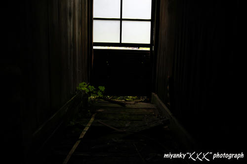2010072505.jpg