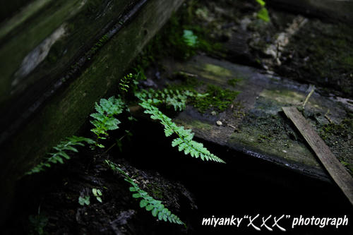 2010072512.jpg