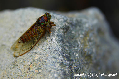 2010072530.jpg