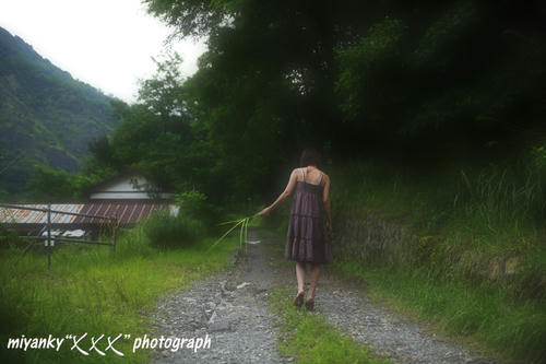 2010072533.jpg
