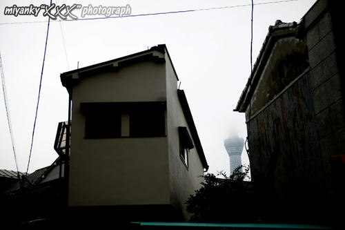 2010101012.jpg