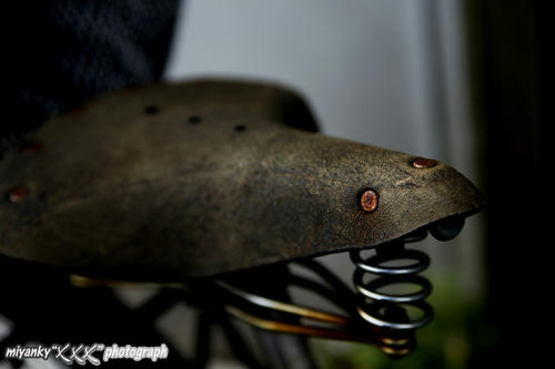 2010101018.jpg
