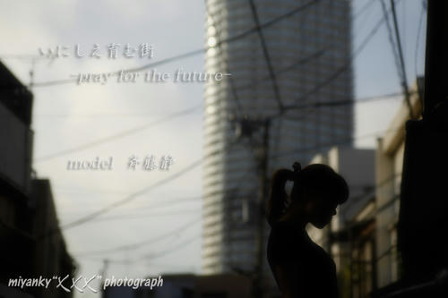 2010101030.jpg