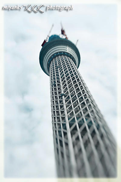 2010101702.jpg