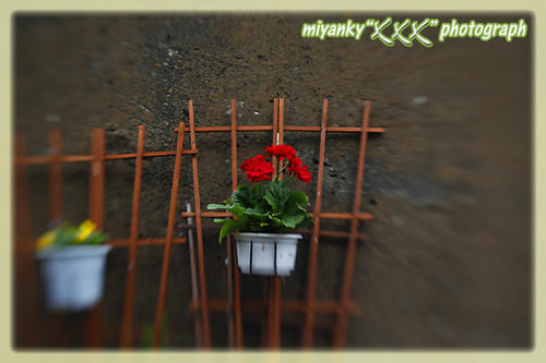 2010101708.jpg