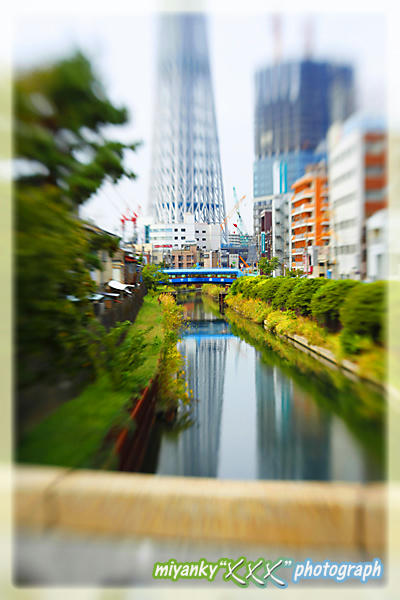 2010101714.jpg