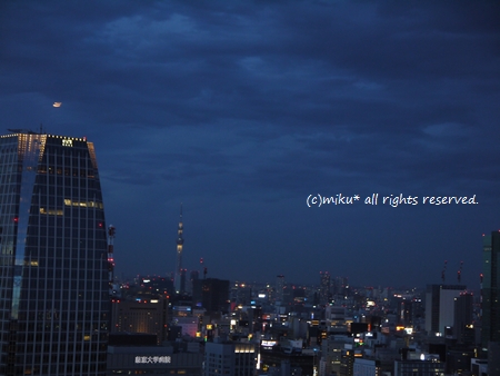 2012071511.jpg