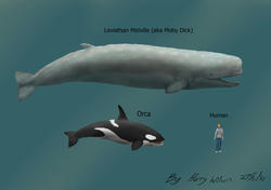 leviathan_melville.jpg