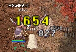 ss331.JPG