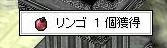 ss338.JPG
