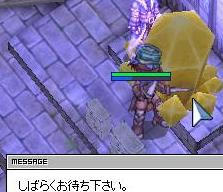 gv304_4.JPG