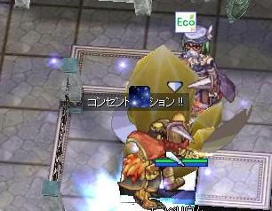 gv304_7.JPG